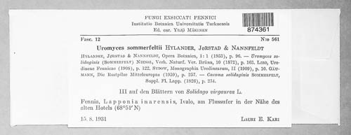Uromyces sommerfeltii image